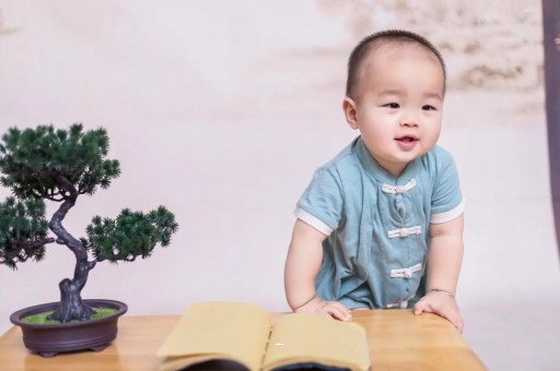广州借卵试管代怀包男孩可爱的企鹅宝宝